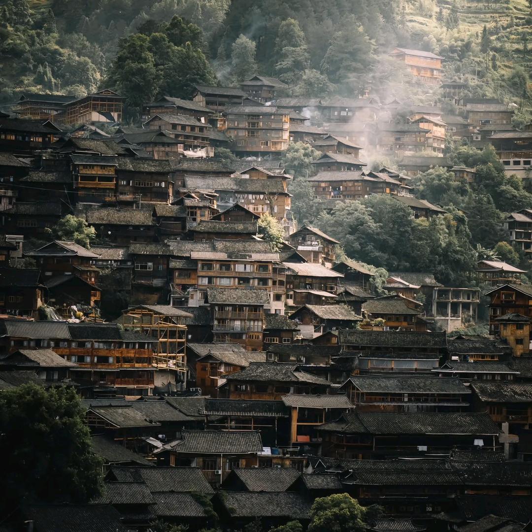 日常直播精选返场