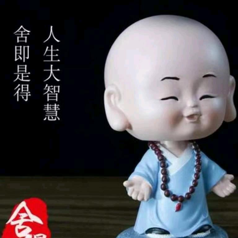淡定……