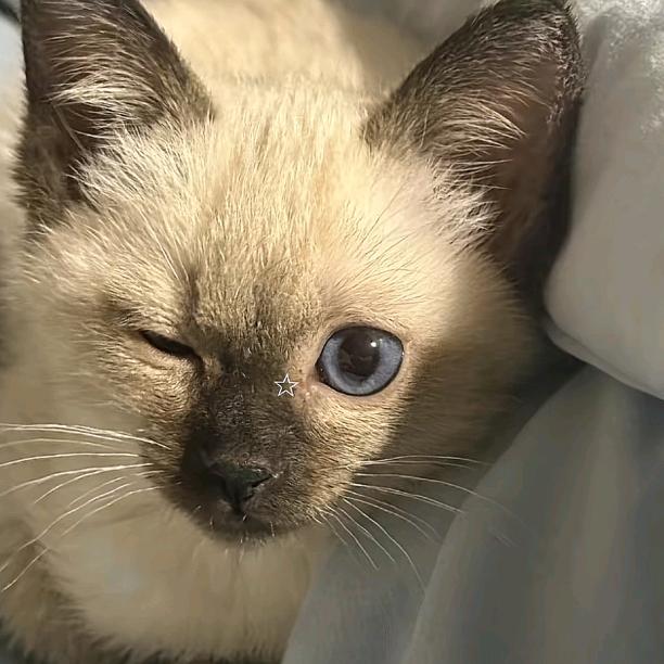 小随