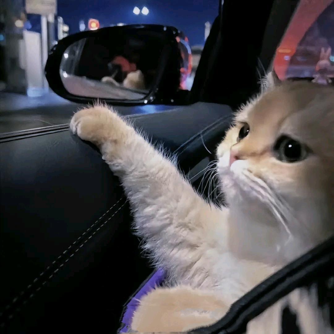 上二休五小卖部