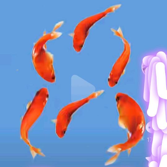 成功在于奋斗