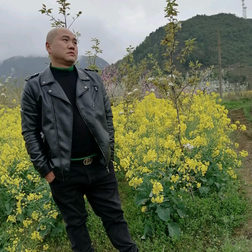 小李哥