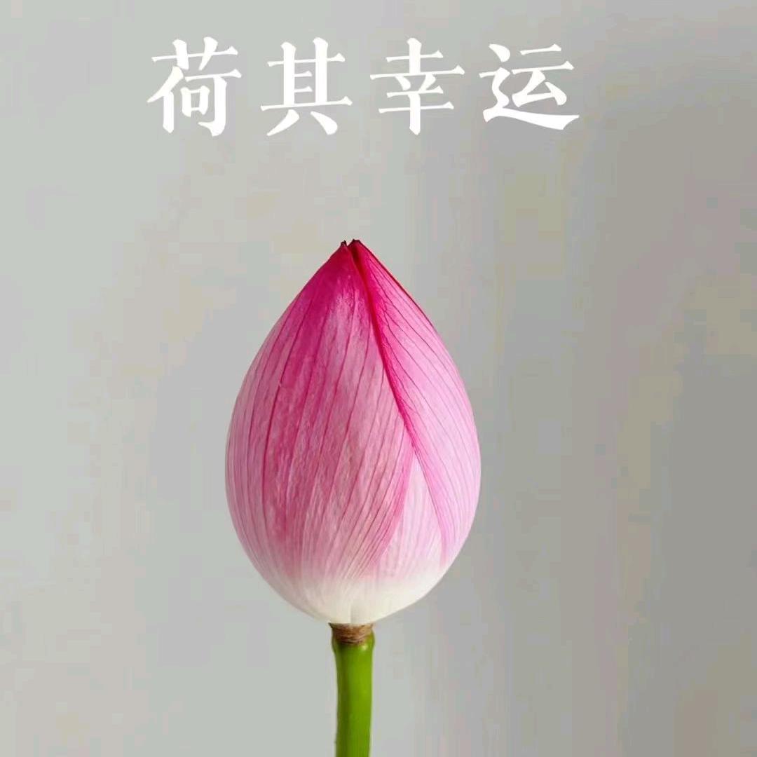 🙏沉默是金