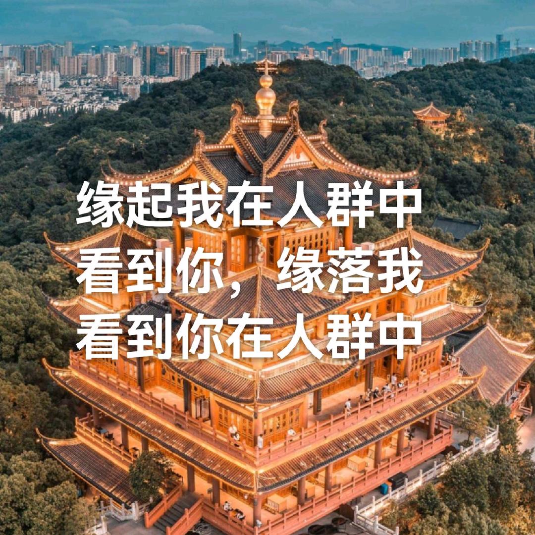 子夜