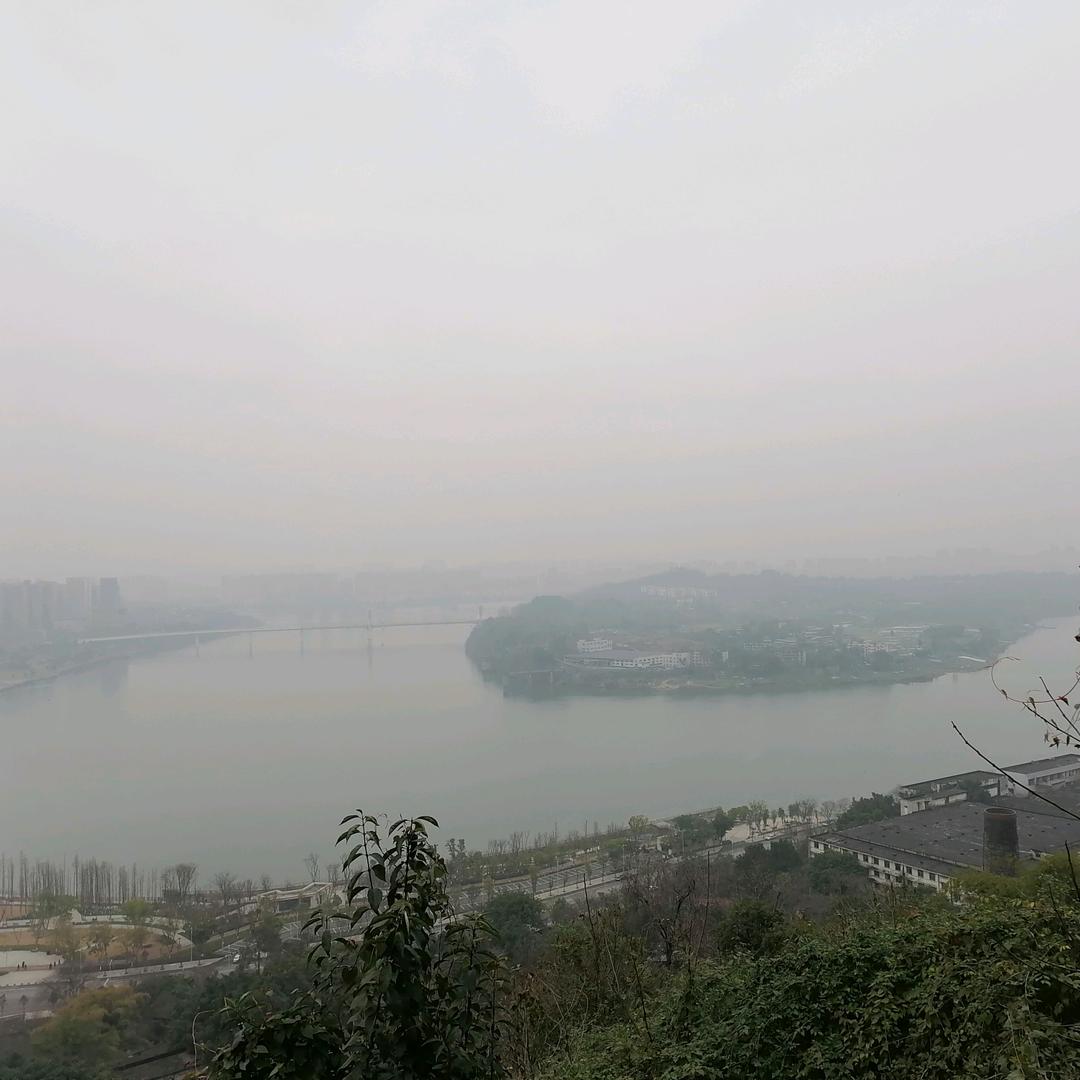 墨台雨华