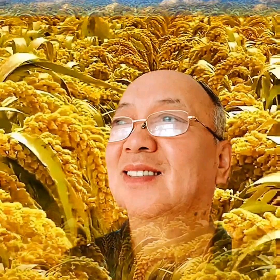 诚实的人