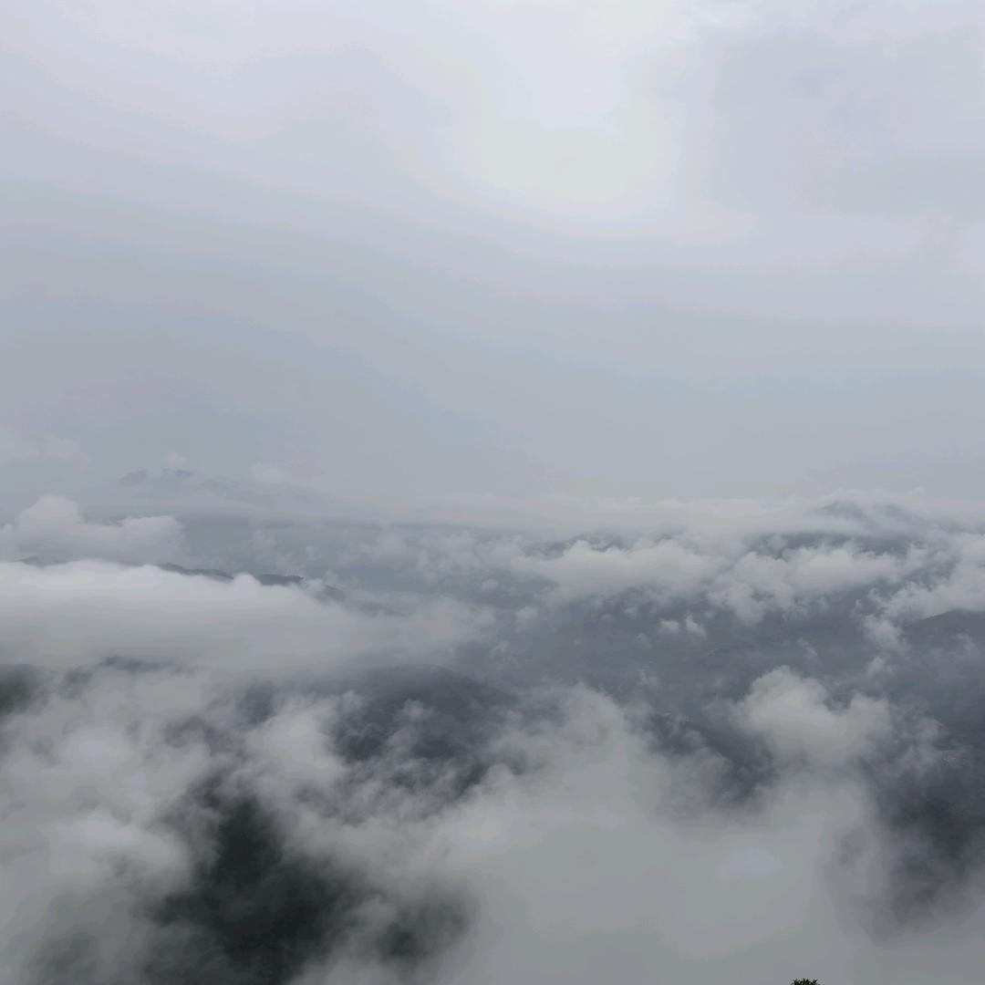 雪黛鹿童装