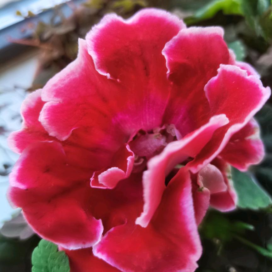 那云在空中追逐