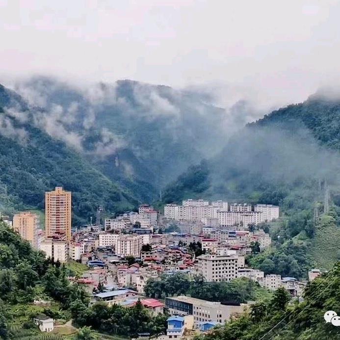 魅力麻柳