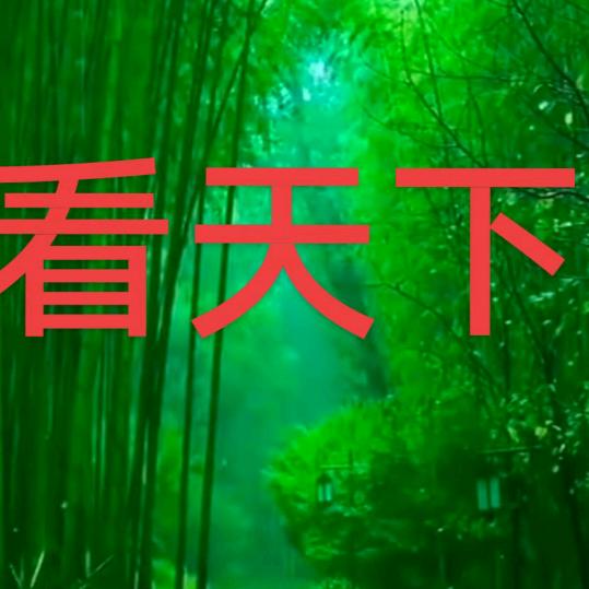 风尘过客