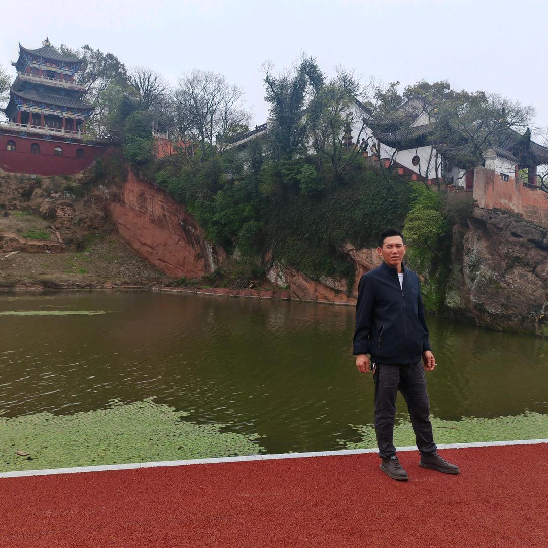 小杨哥