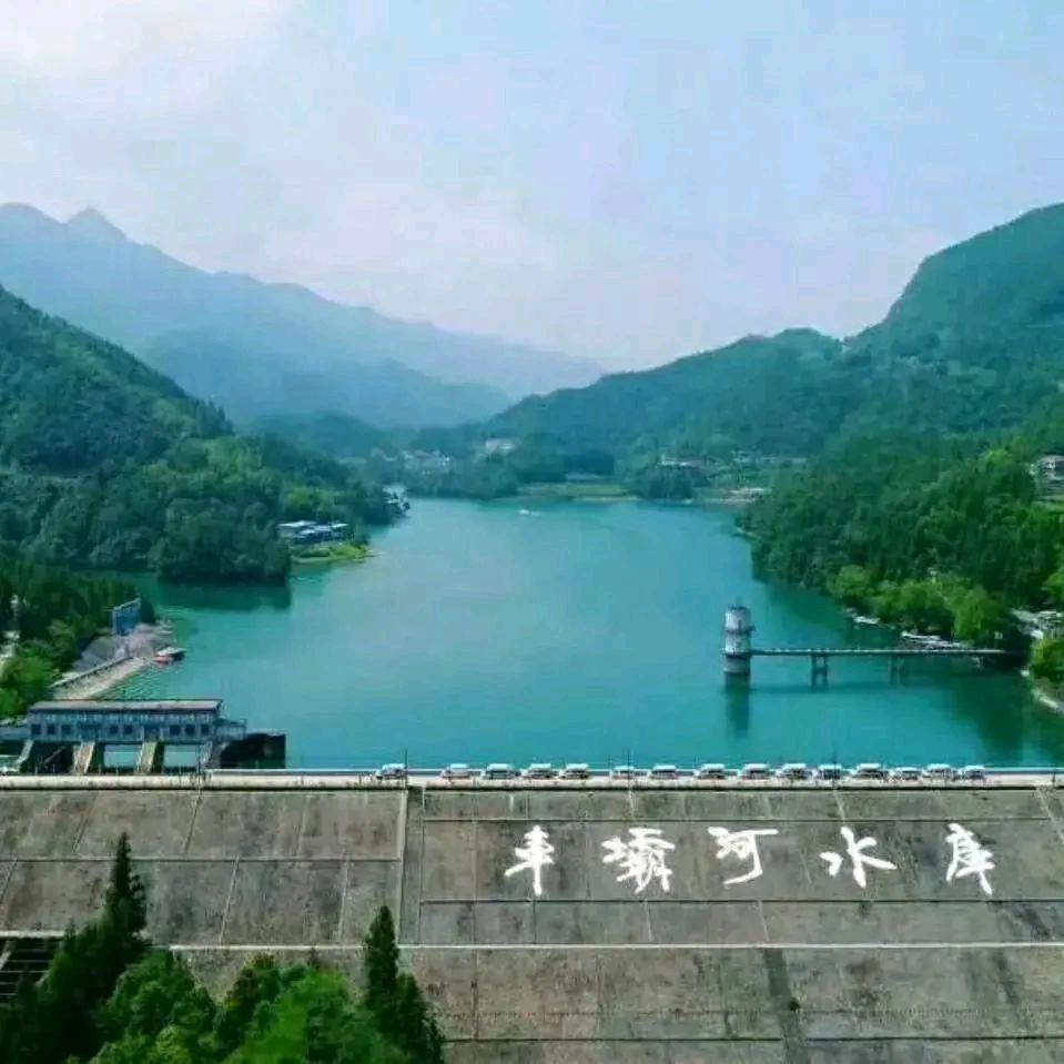 大横路（豆豆）