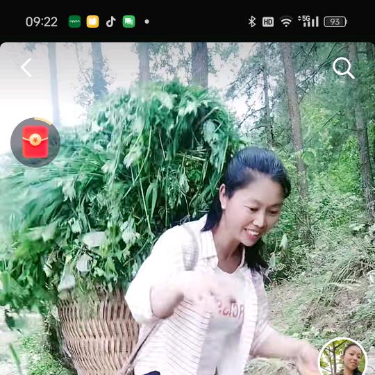 牧羊姐