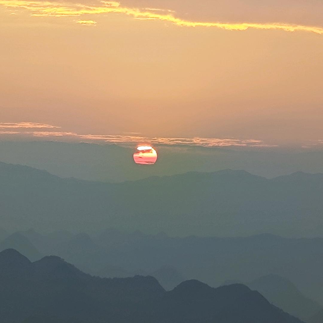 拿铁不加糖🧚‍♀️