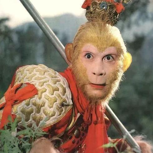 大箕铺铜井市石三疯🌞