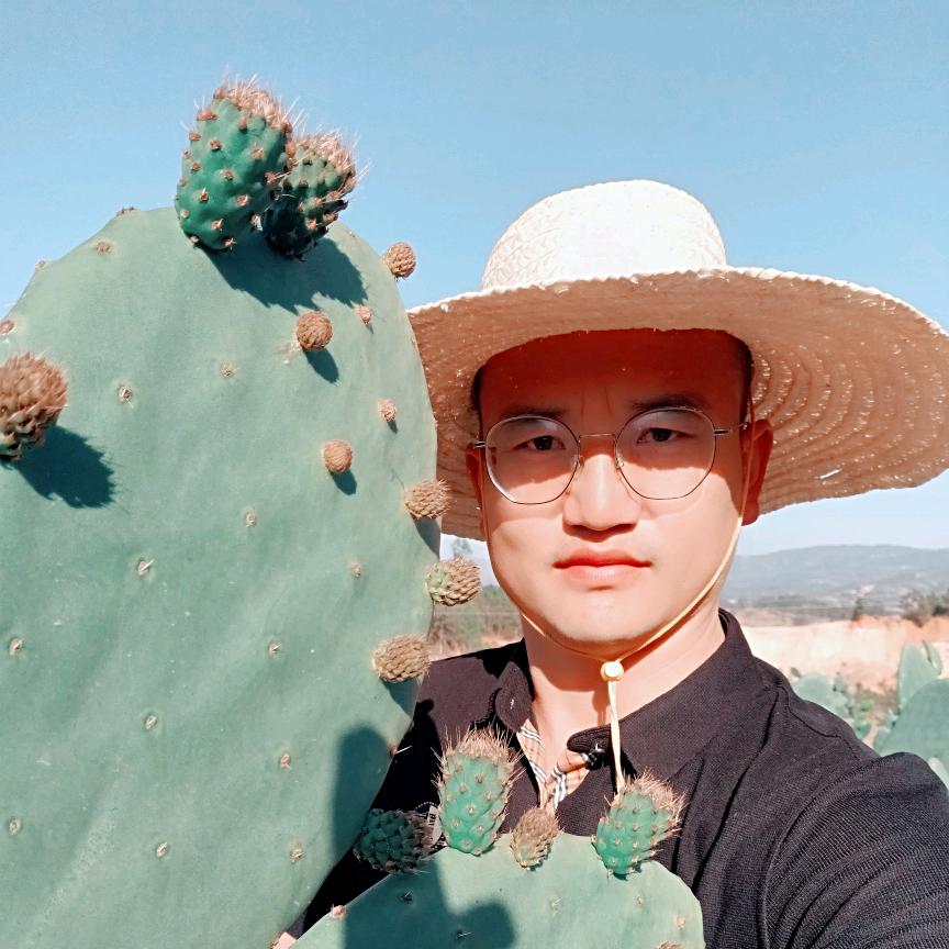 果正仙人掌优品店