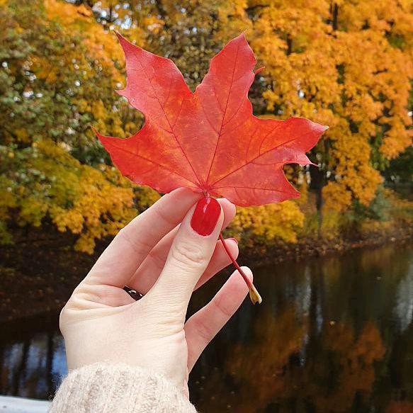 吃糖都不甜的年纪