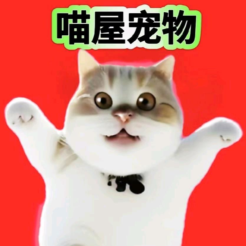 北京顺义喵屋宠物专业洗护工作室-大明子