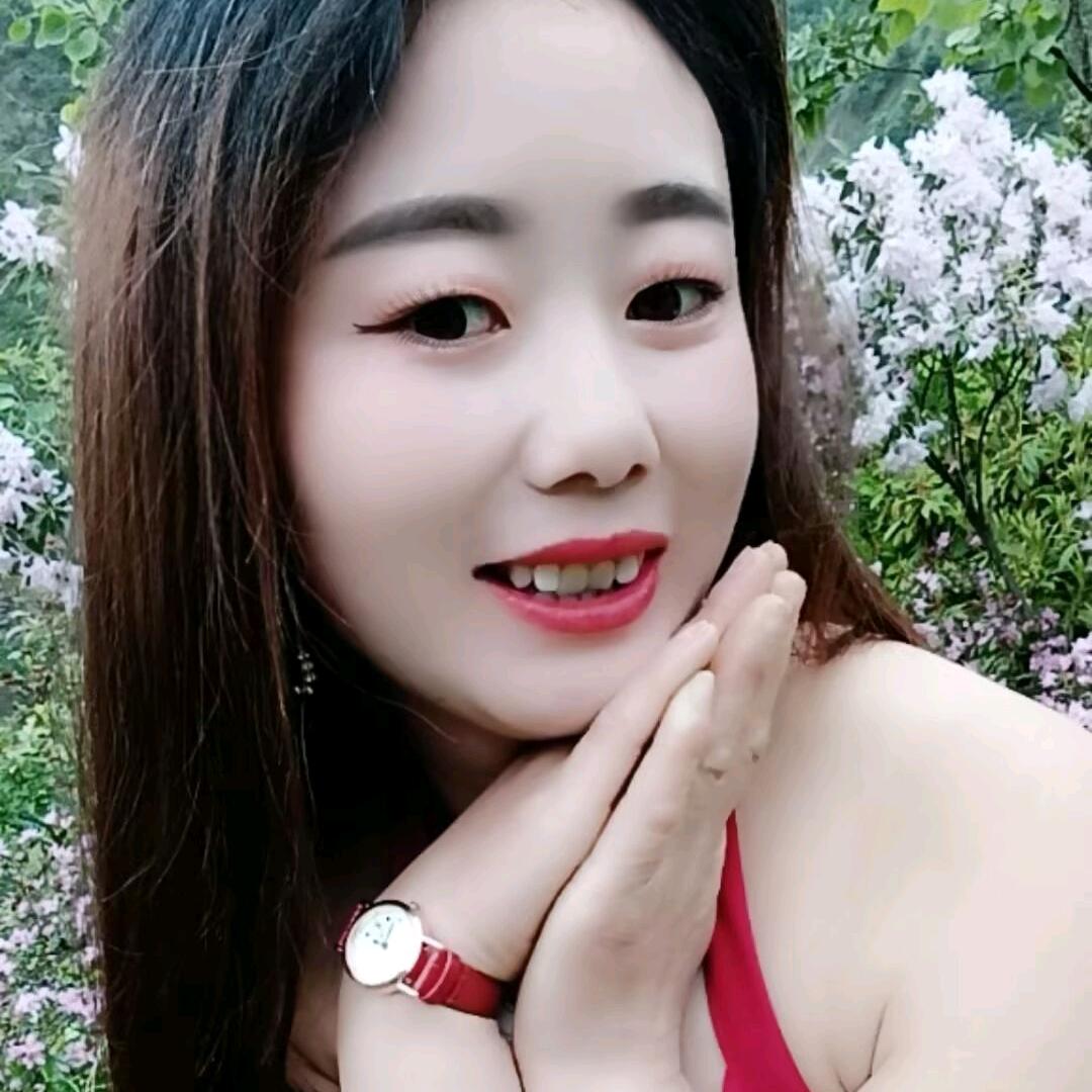 我是被爱伤过的琴儿