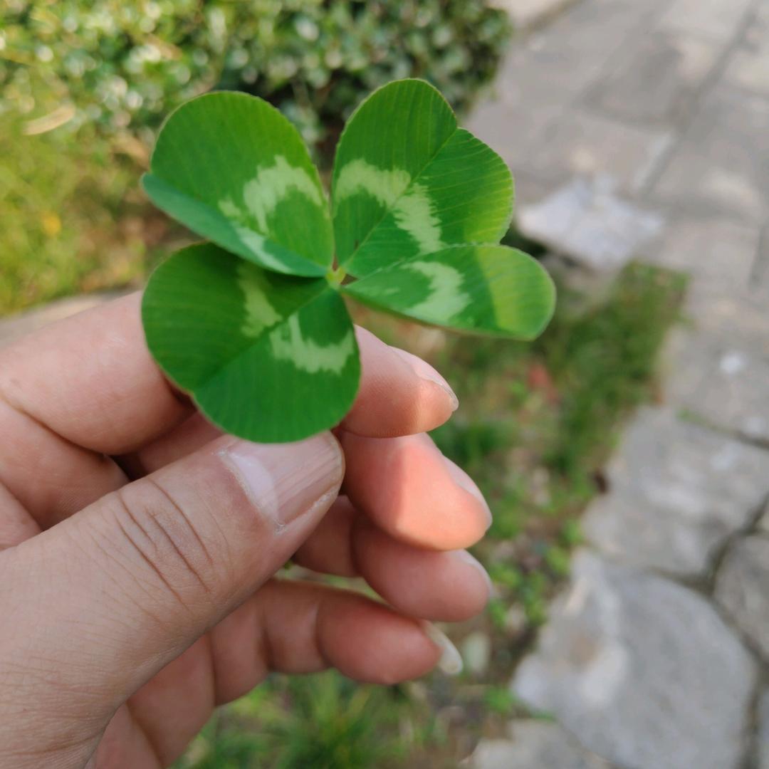 想听你的故事