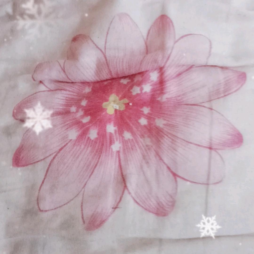 老徐（拒绝私信）