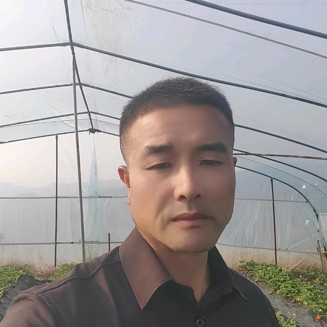 甜蜜蜜生态草莓采摘园