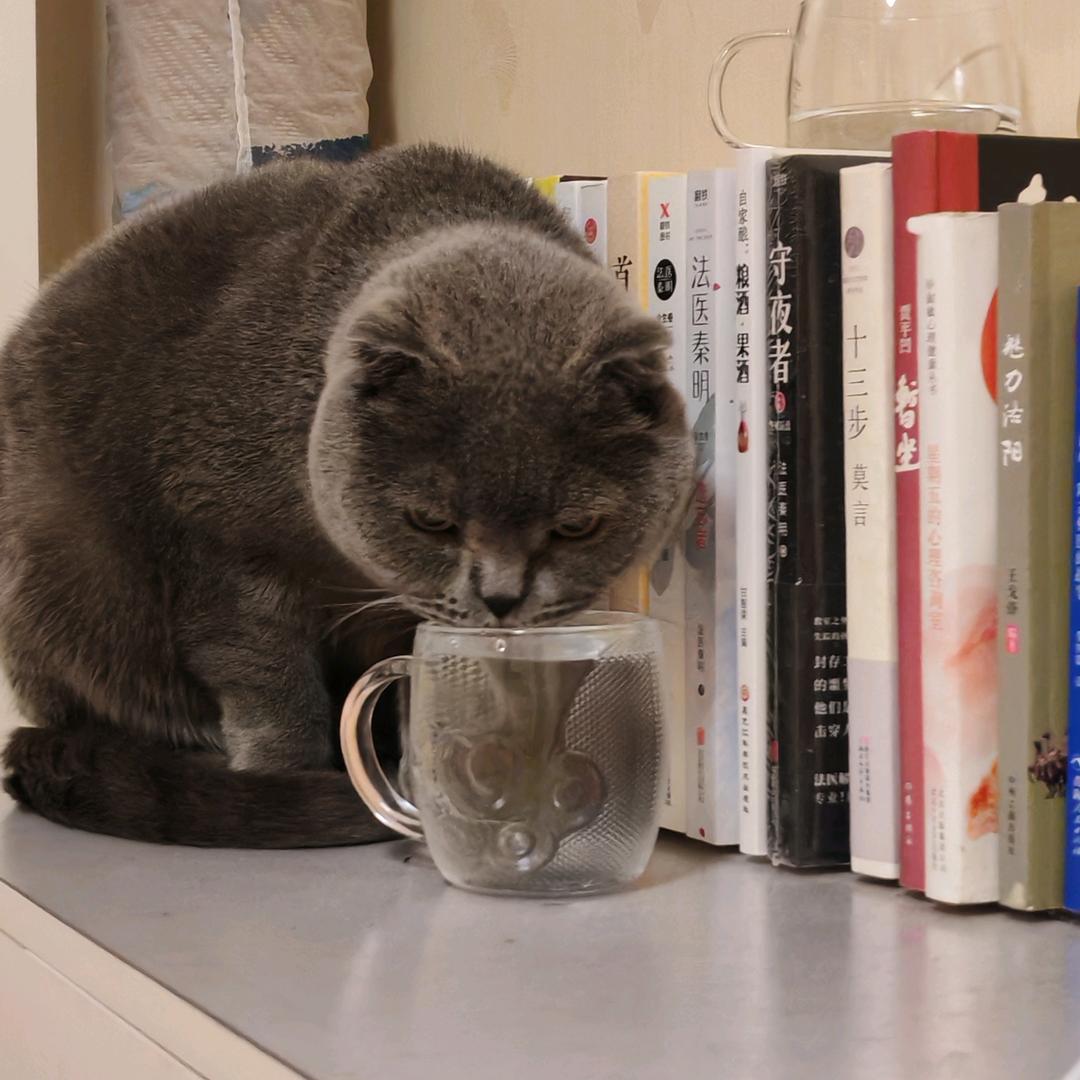 小酌微醺（拒私聊）