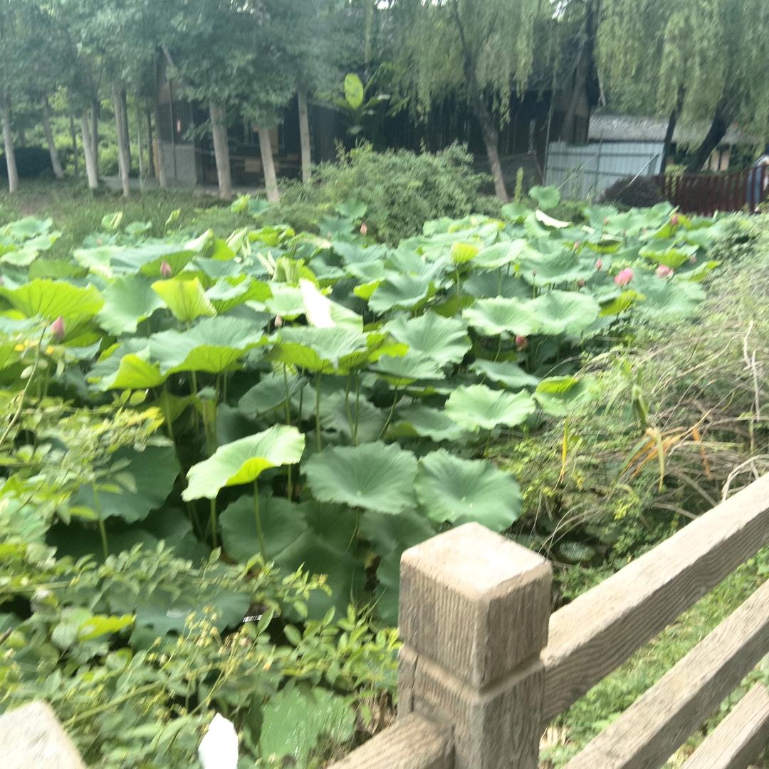 开心每一天徐