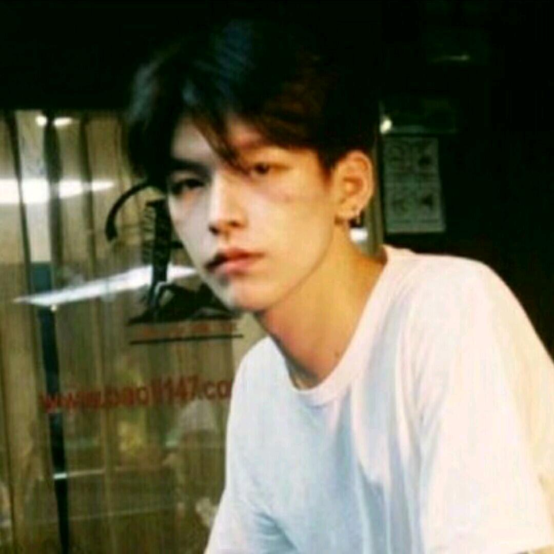 ㅤㅤㅤ蓝花楹