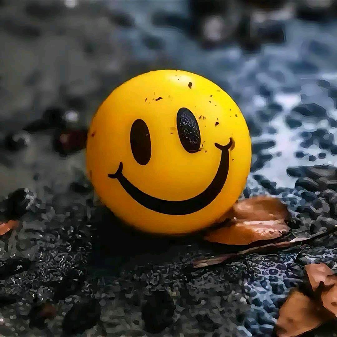 那谁的谁