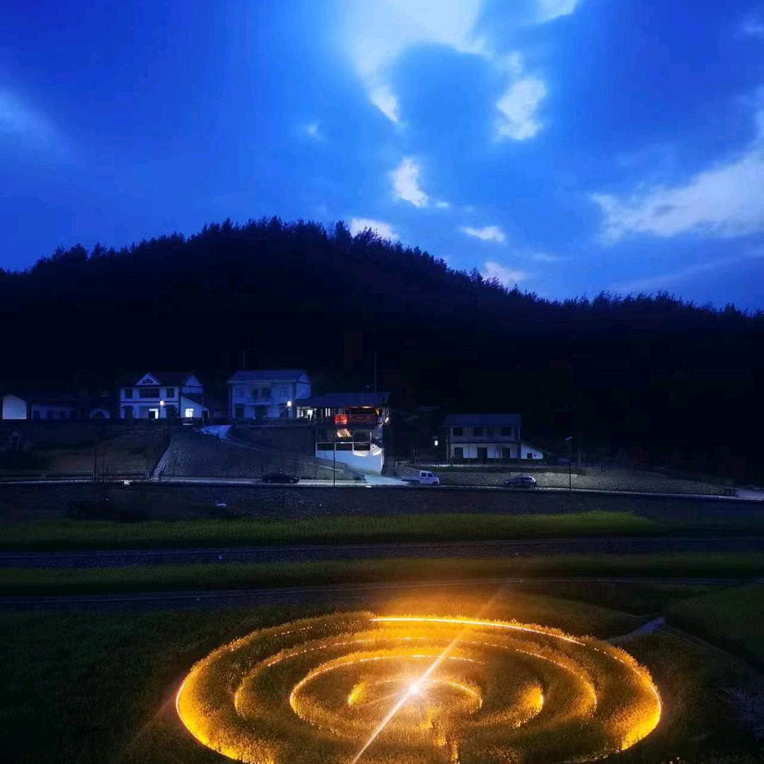 心随风舞