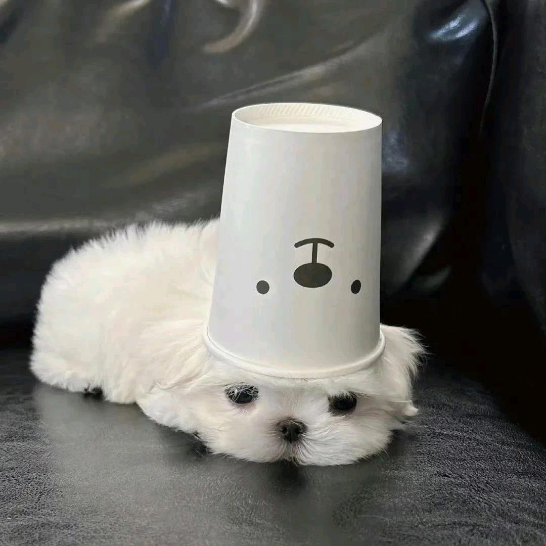 给我一个系统吧