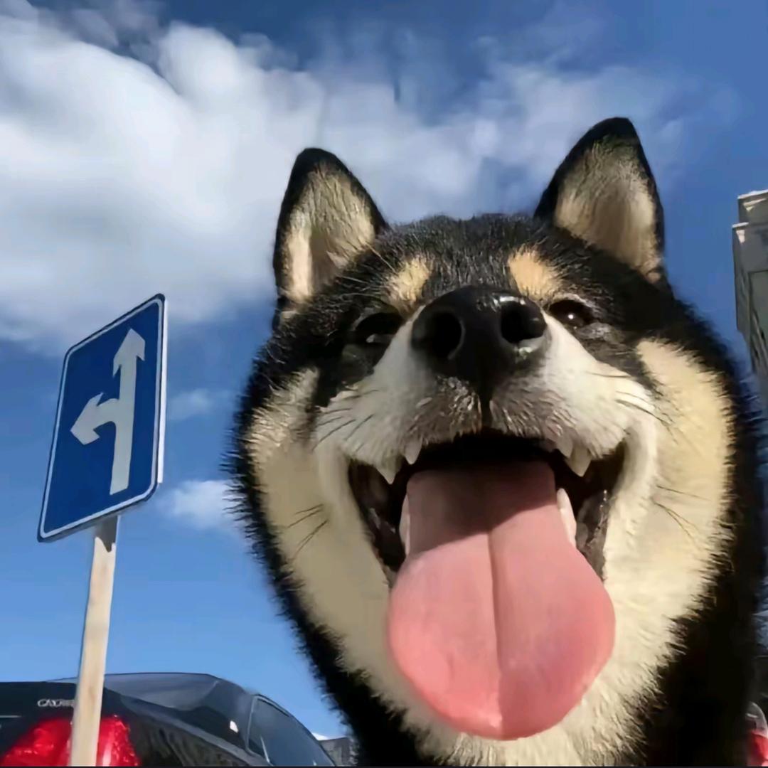 ， ，