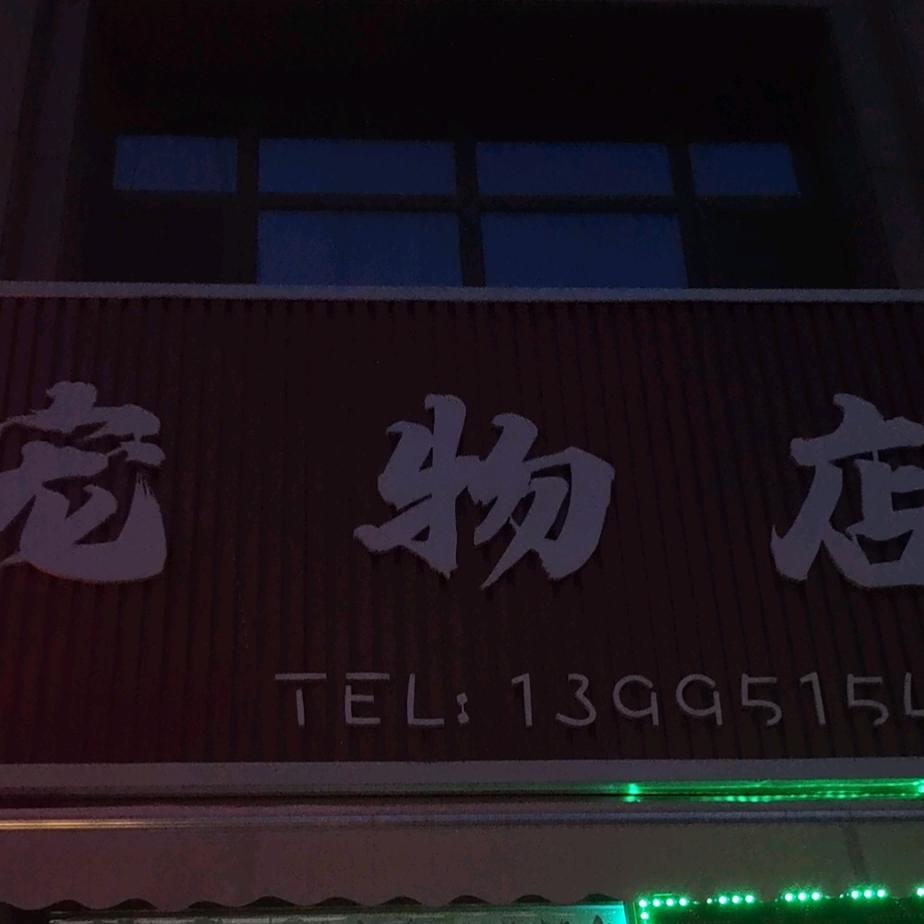 同心县宠物店