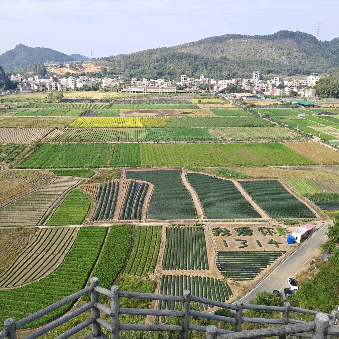梁生