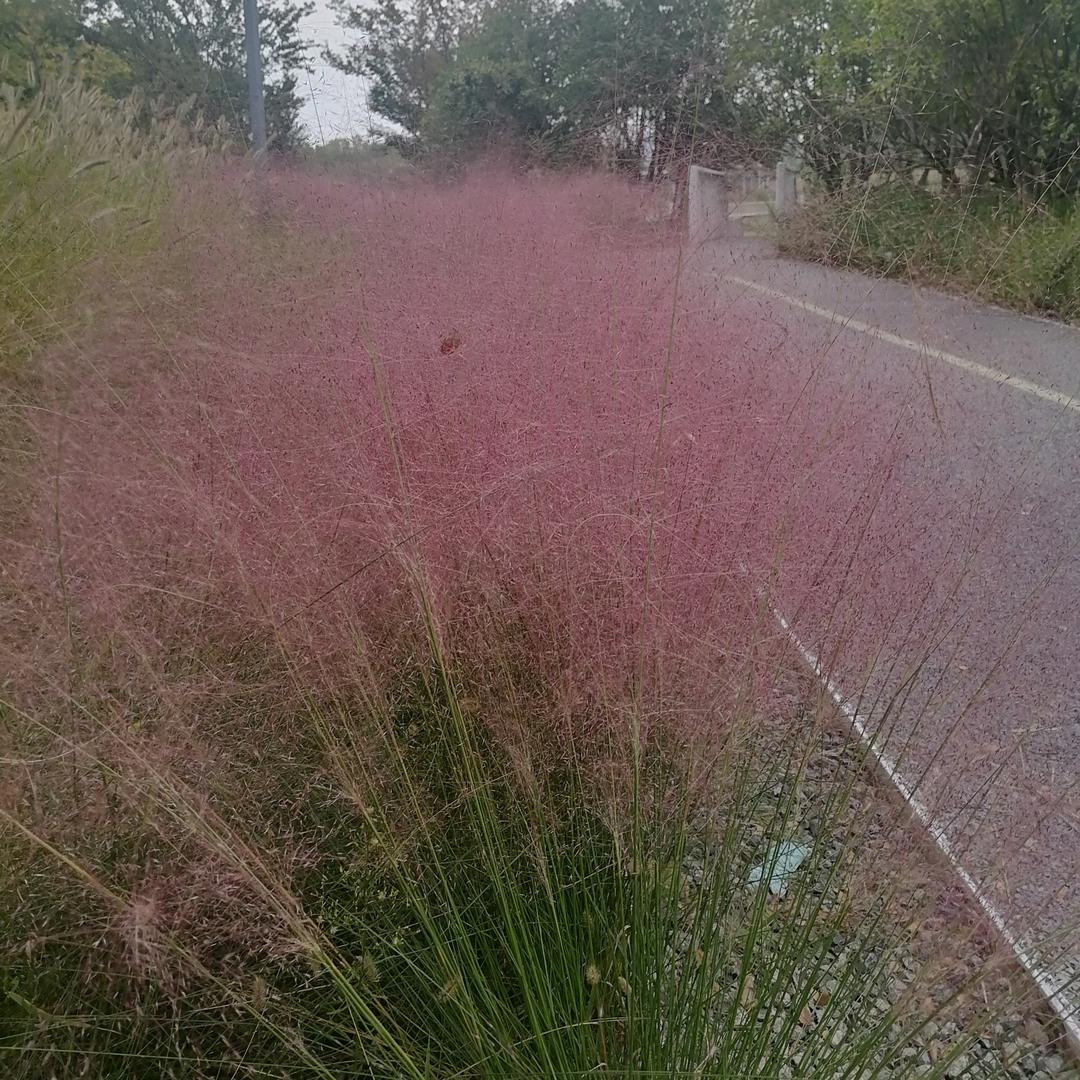 专业防水堵漏