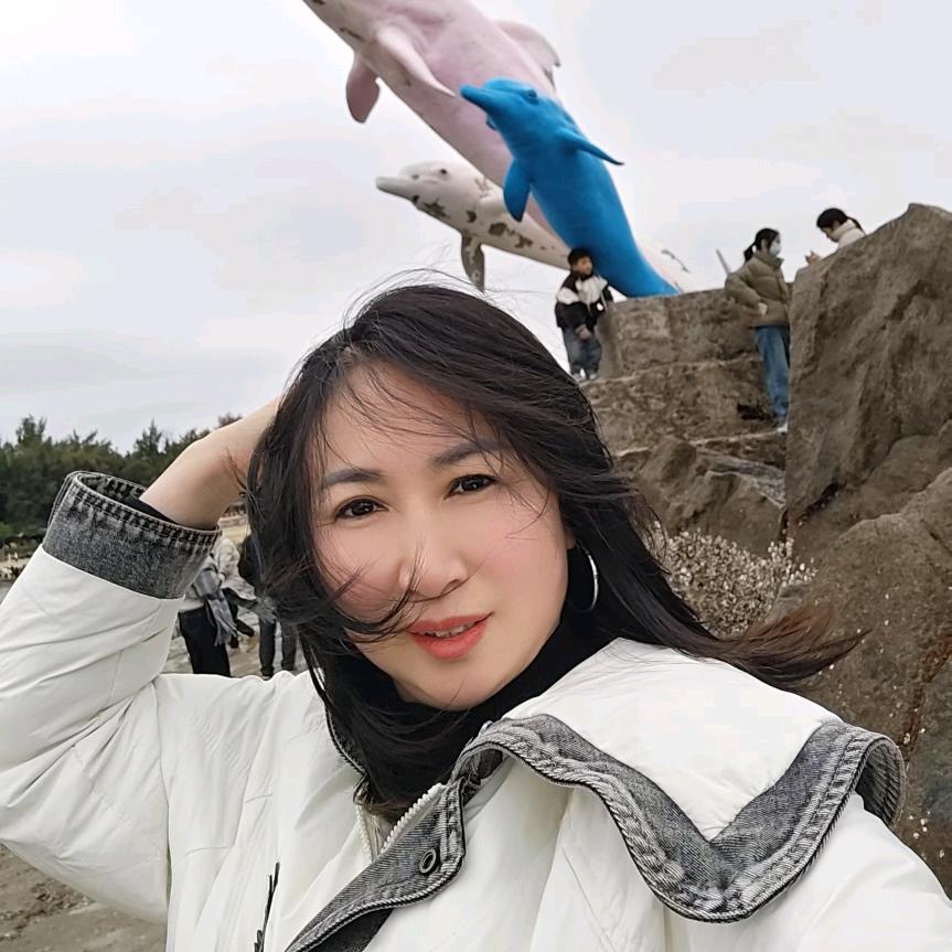 笨笨猪