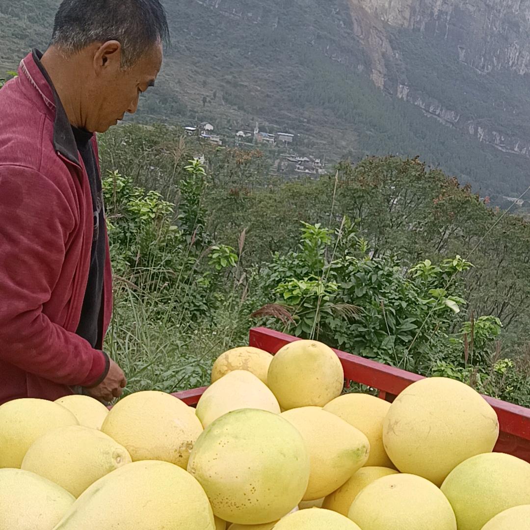 开心每一天 ，