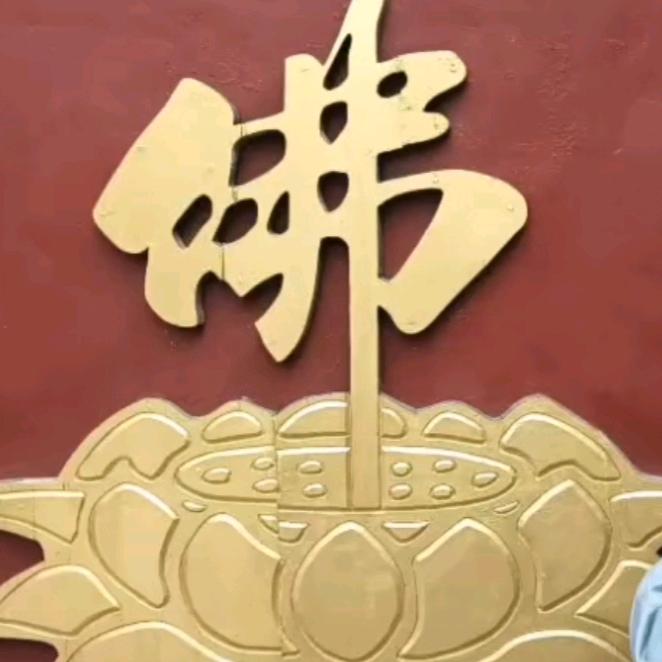 蝶王
