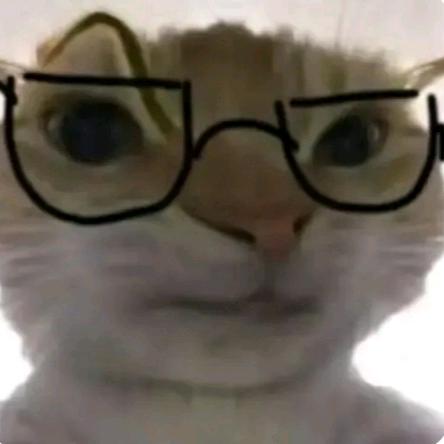 ….