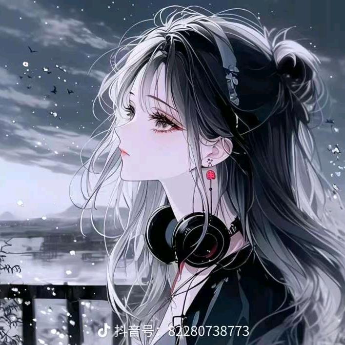 风飞翼