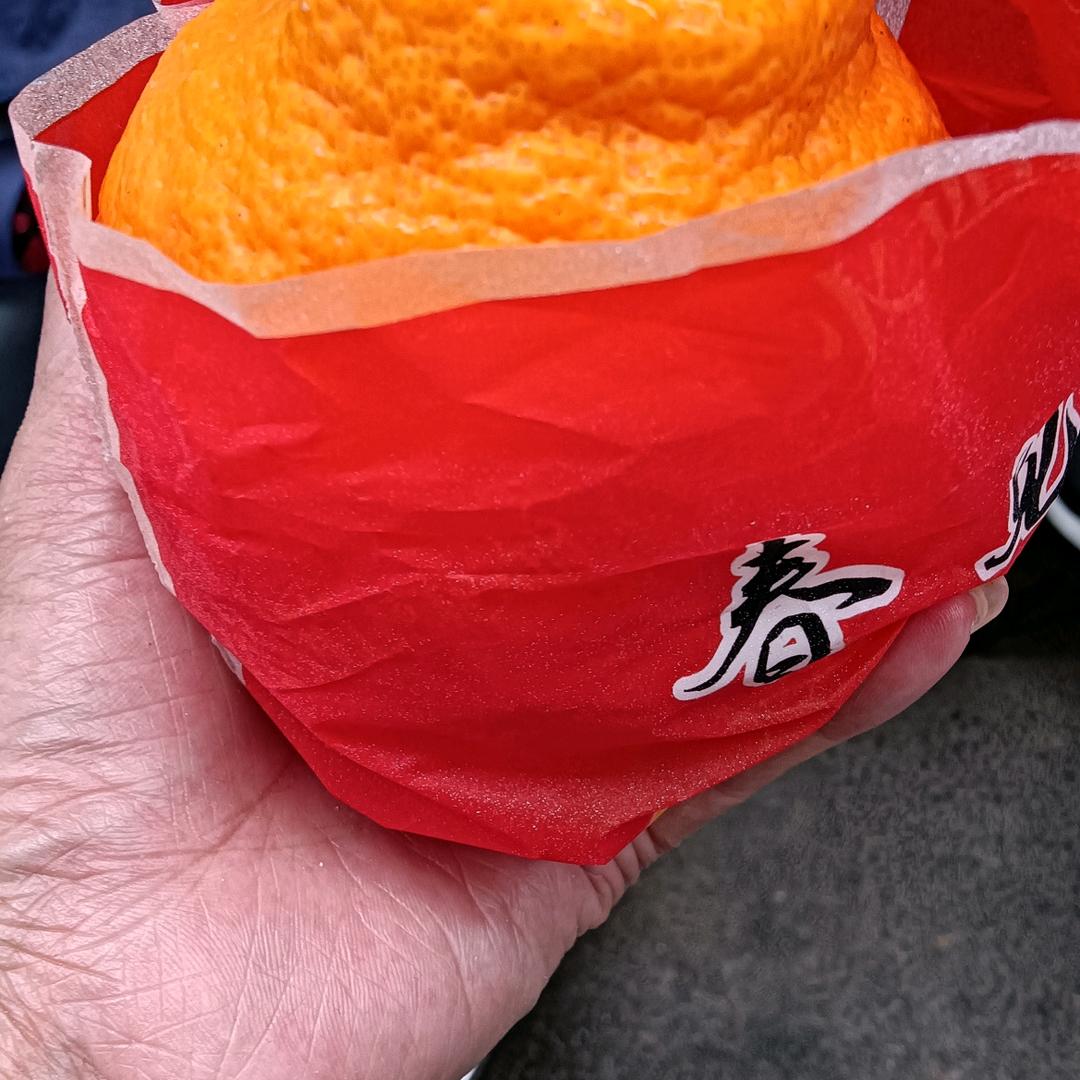 一生无悔
