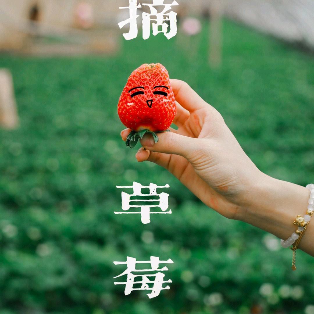 重庆李科呈果蔬种植家庭农场