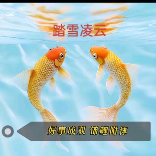 踏雪凌云