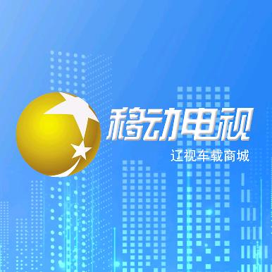 辽视新媒体发展有限公司