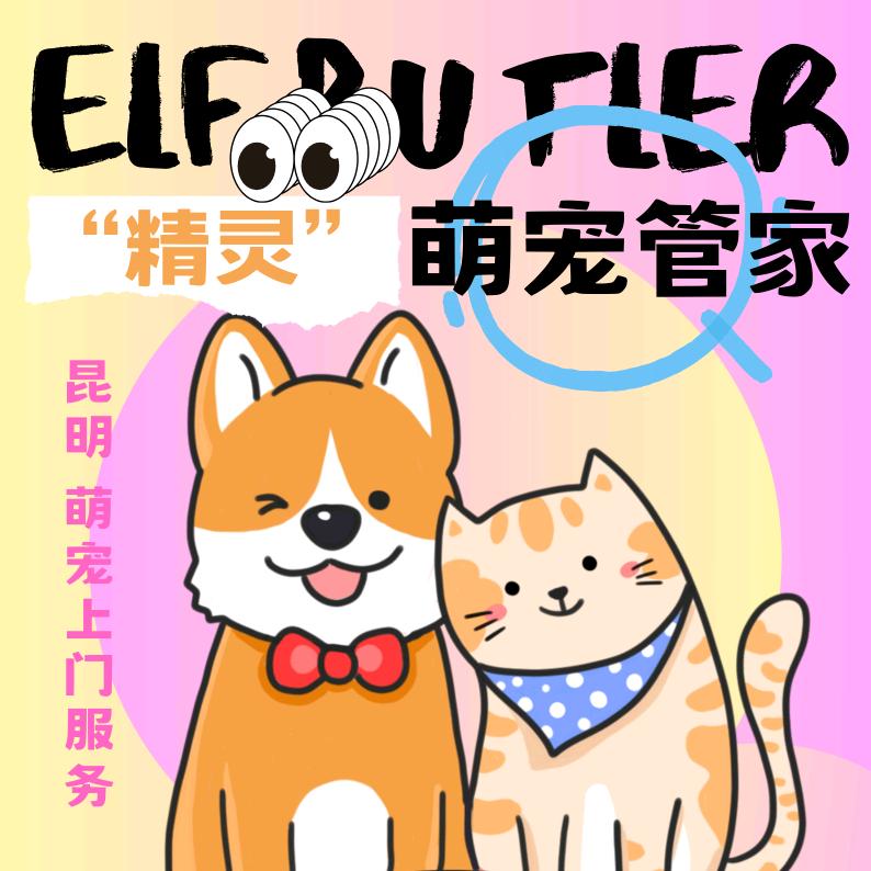精灵萌宠管家
