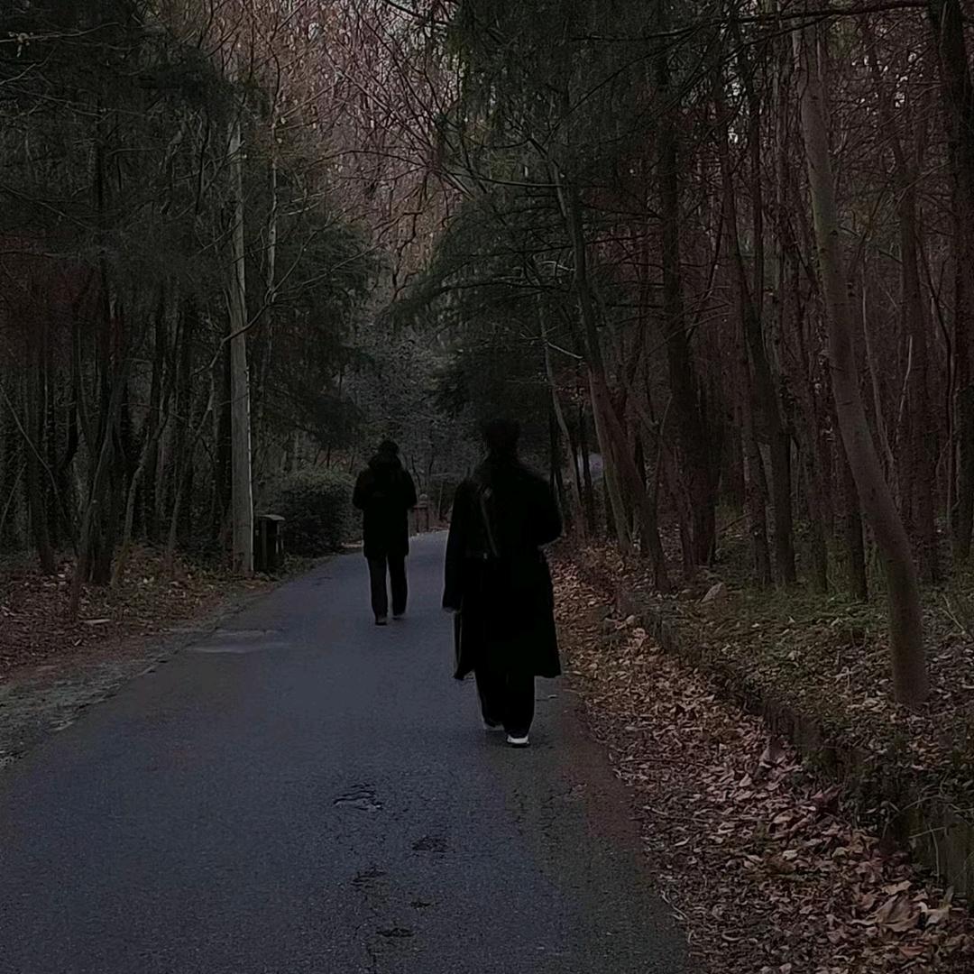 向金阙游