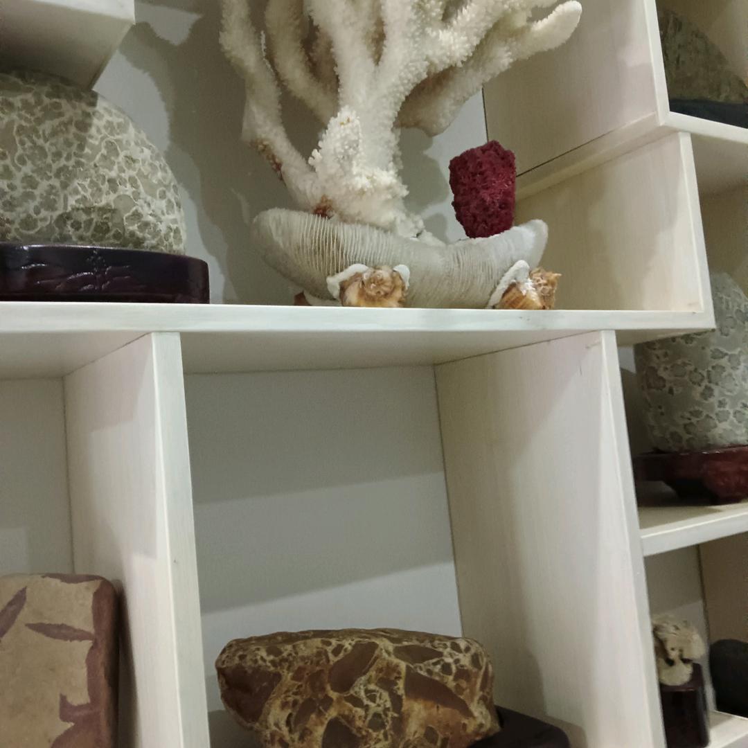 老周好货分享