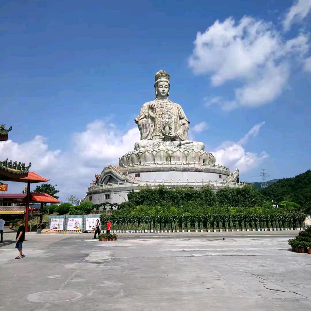 🌹果🌻宝🌻儿