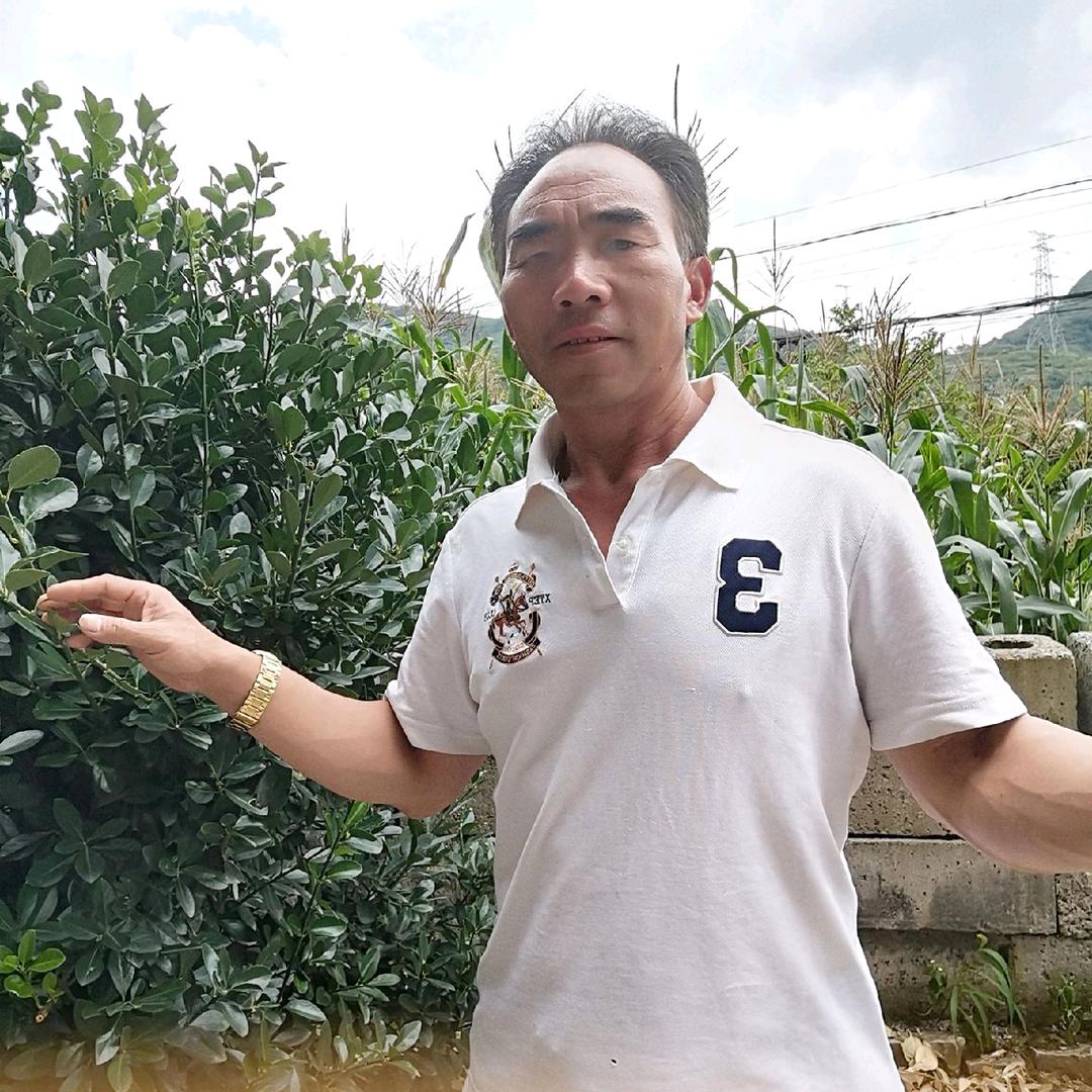 邓三哥晚七点十分